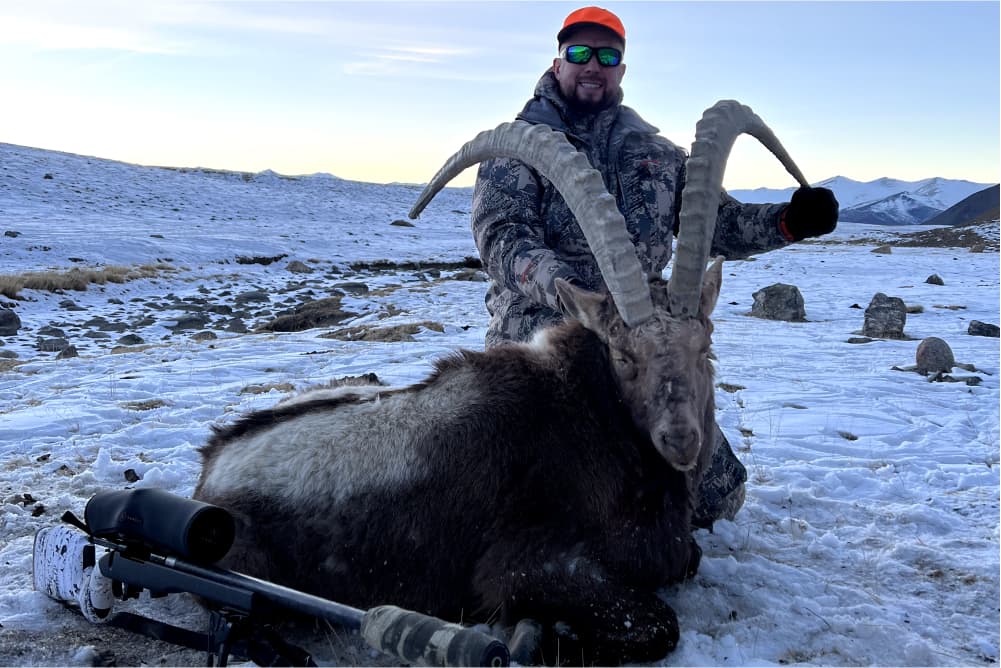 Pamir ibex hunting trophy