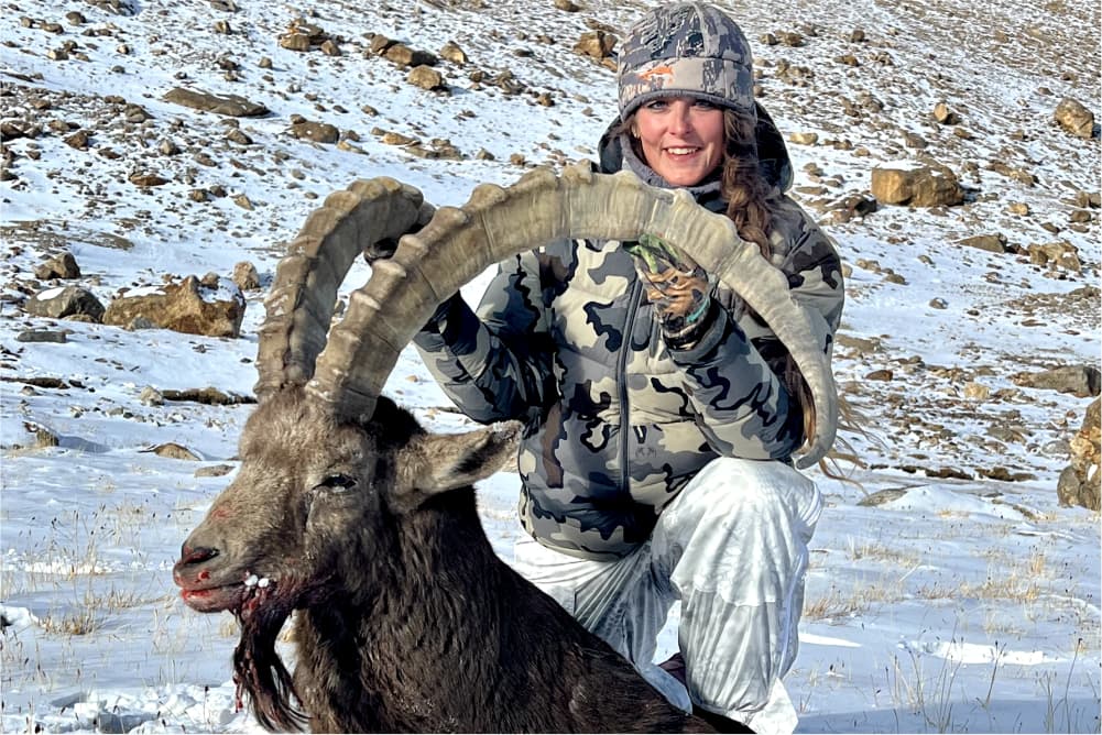 Pamir ibex hunting trophy