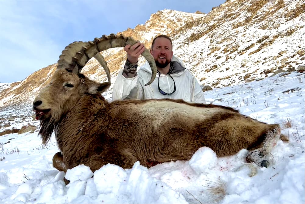 Pamir ibex hunting trophy