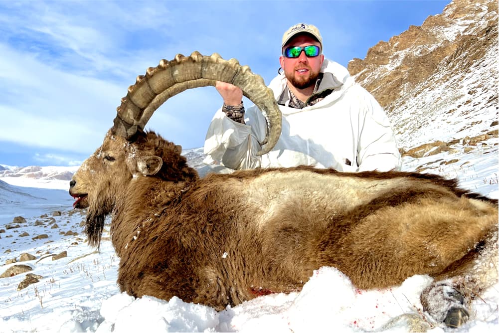 Pamir ibex hunting trophy