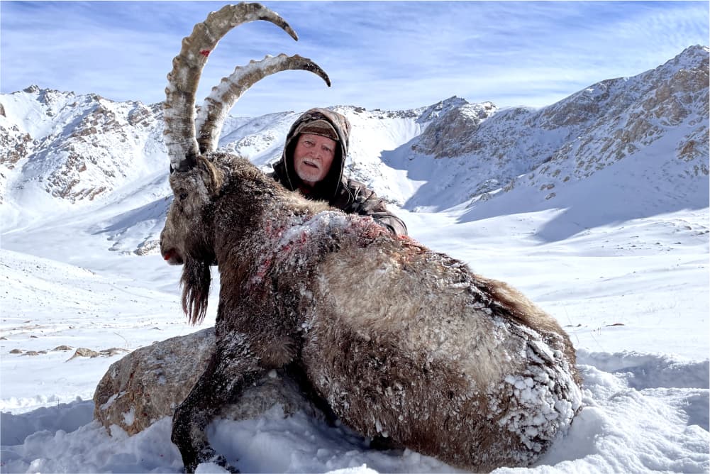 Pamir ibex hunting trophy