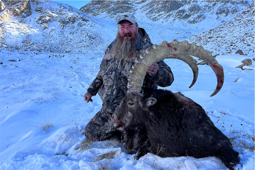 Pamir ibex hunting trophy