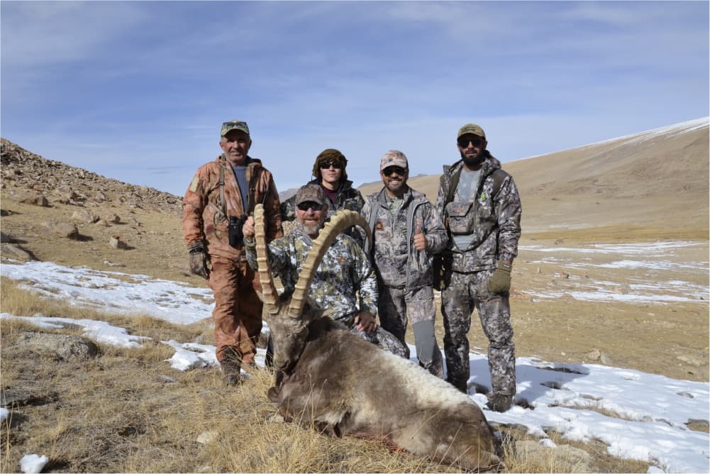 Pamir ibex hunting trophy