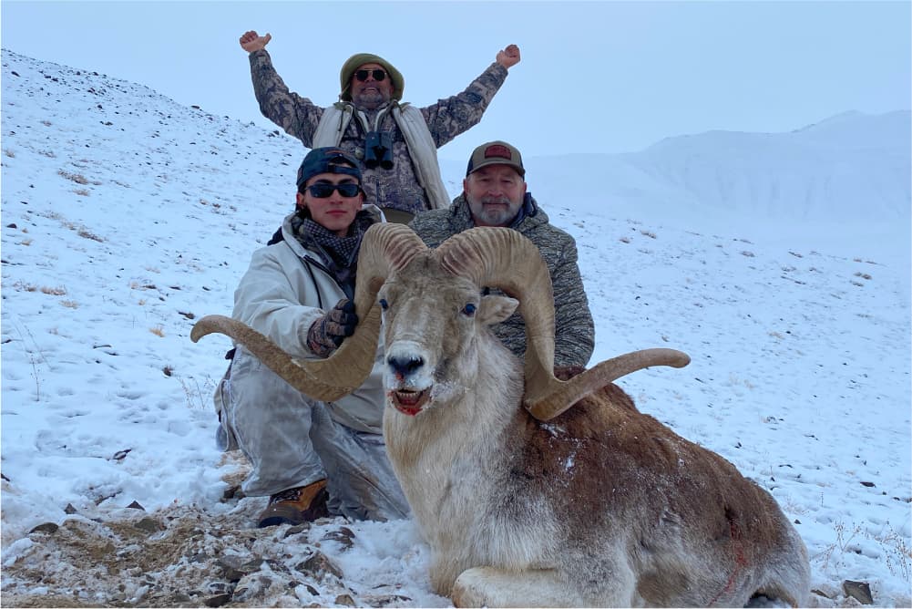 Marco Polo argali hunting trophy