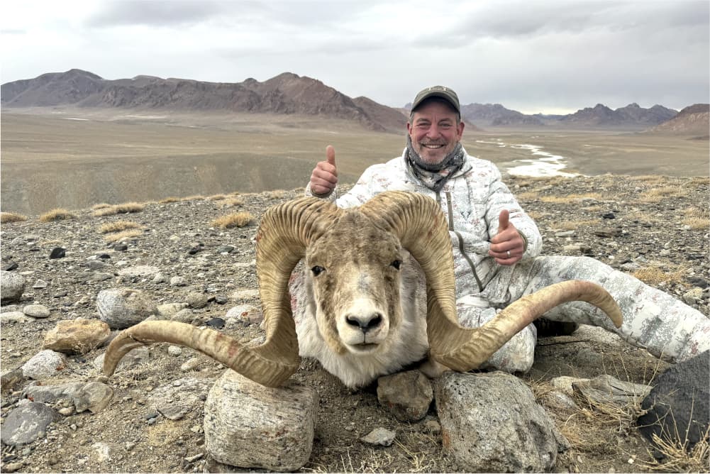 Marco Polo argali hunting trophy