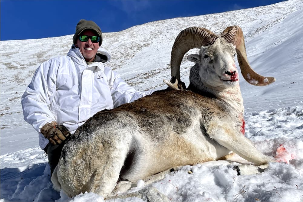 Marco Polo argali hunting trophy