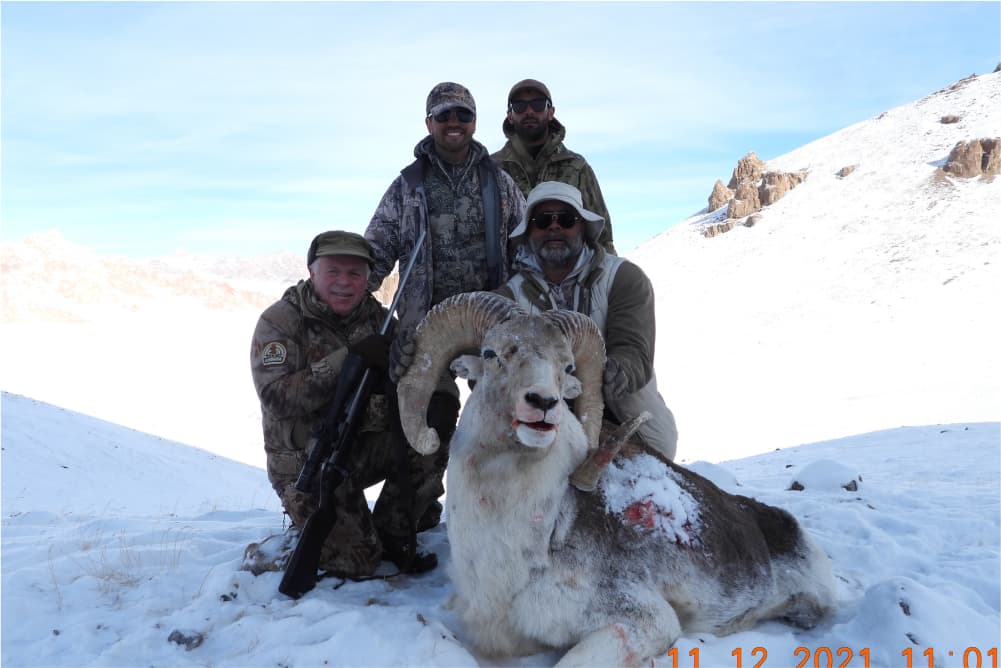 Marco Polo argali hunting trophy