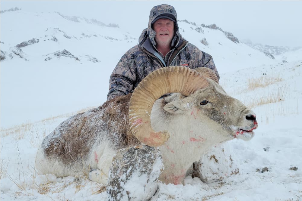 Marco Polo argali hunting trophy