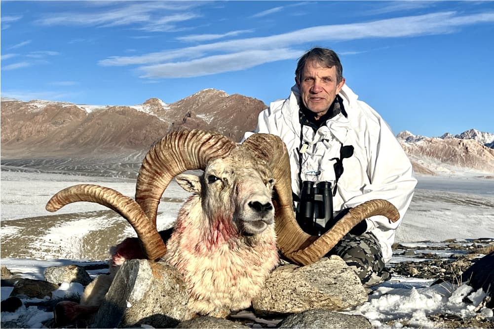 Marco Polo argali hunting trophy