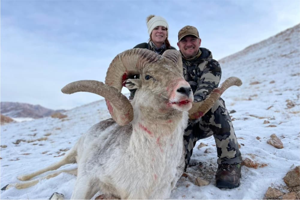 Marco Polo argali hunting trophy
