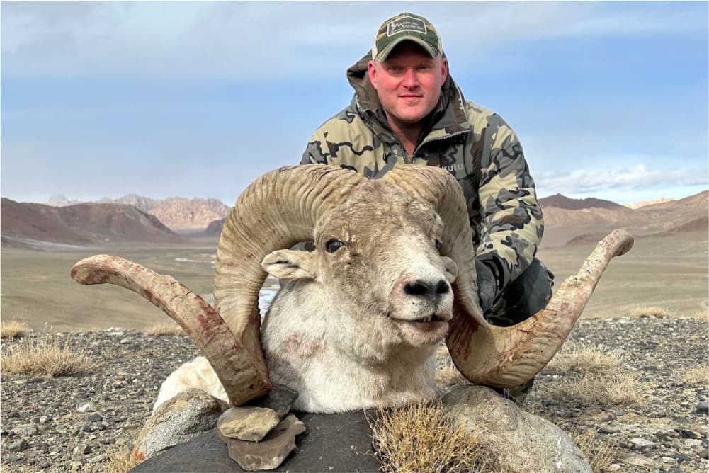 Marco Polo argali hunting trophy