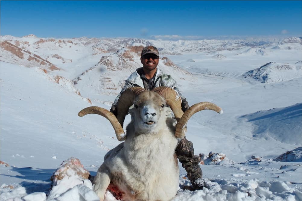Marco Polo argali hunting trophy