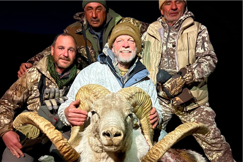 Marco Polo argali hunting trophy