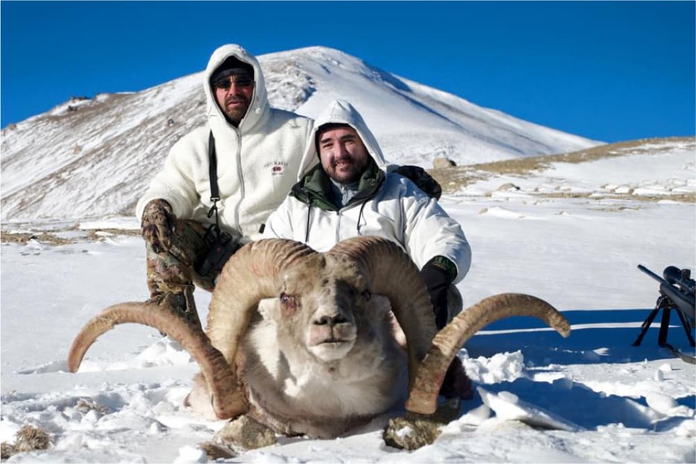 Marco Polo argali hunting trophy