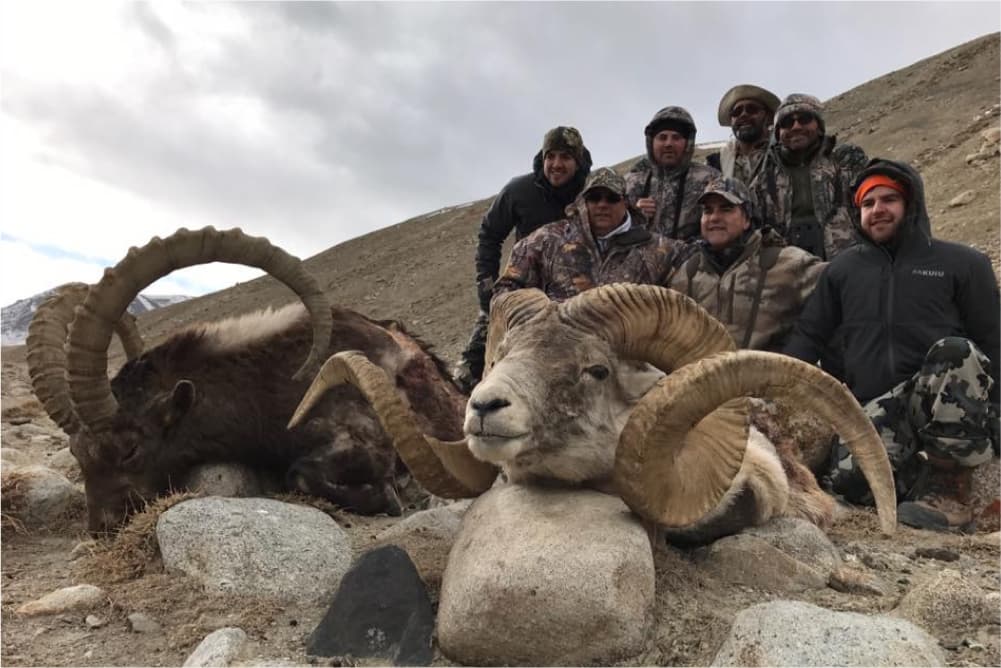 Ibex and Marco Polo hunting trophies